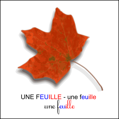 Graphie euille